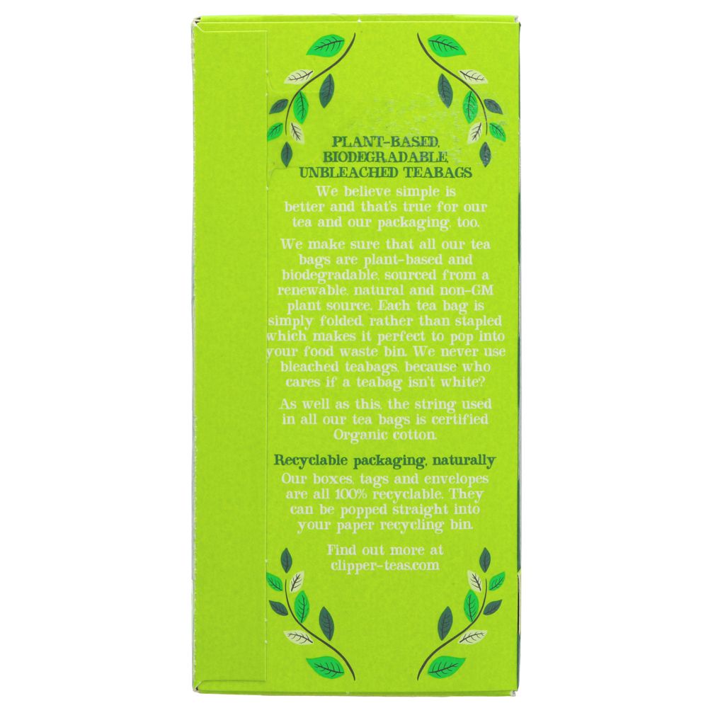 Featured image displaying box of Clipper Organic & Fair Trade Green Tea with info on plant-based tea bags