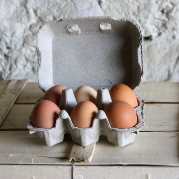 cardboard carton containing  6 medium to large eggs assorted
