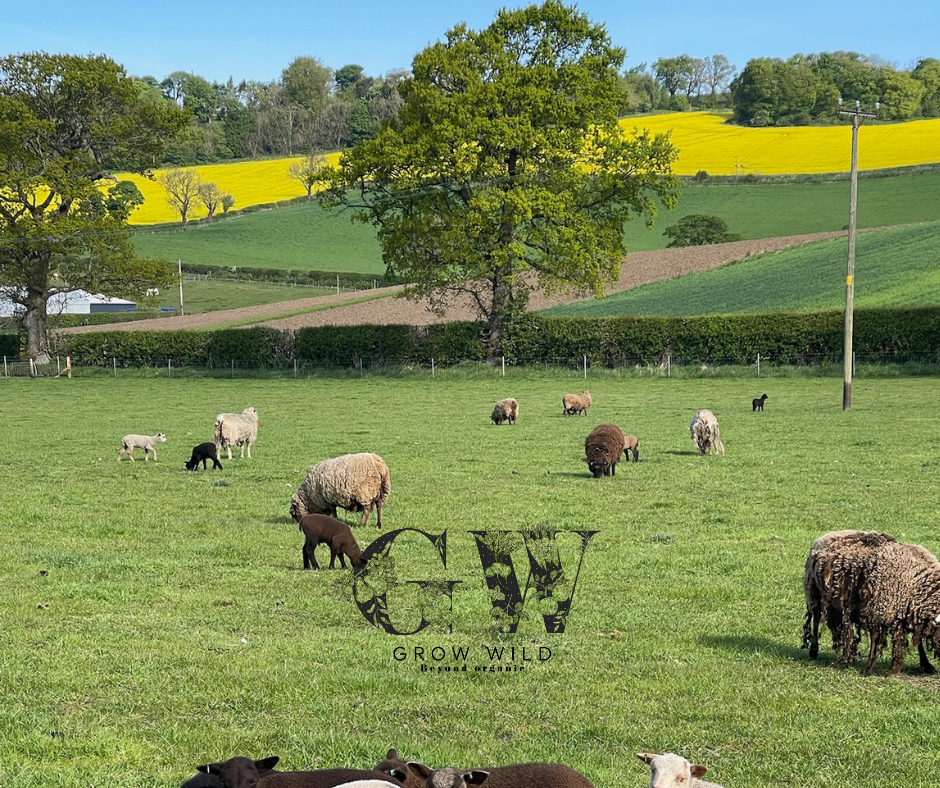 May News from Bonnytoun Farm – Grow Wild