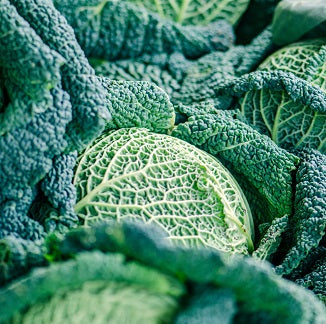 Braised Savoy Cabbage