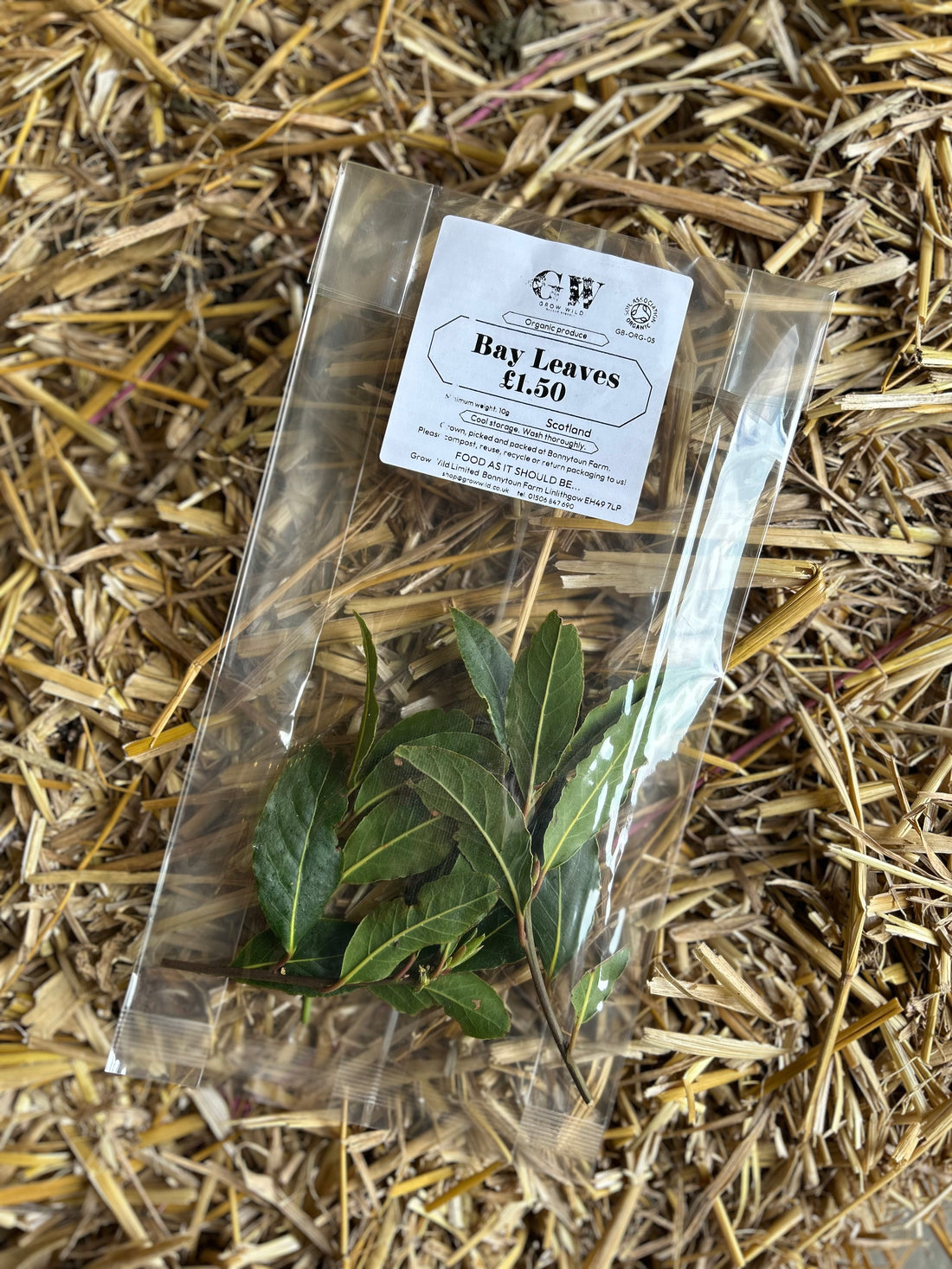 Fresh Herbs - Bay Leaves