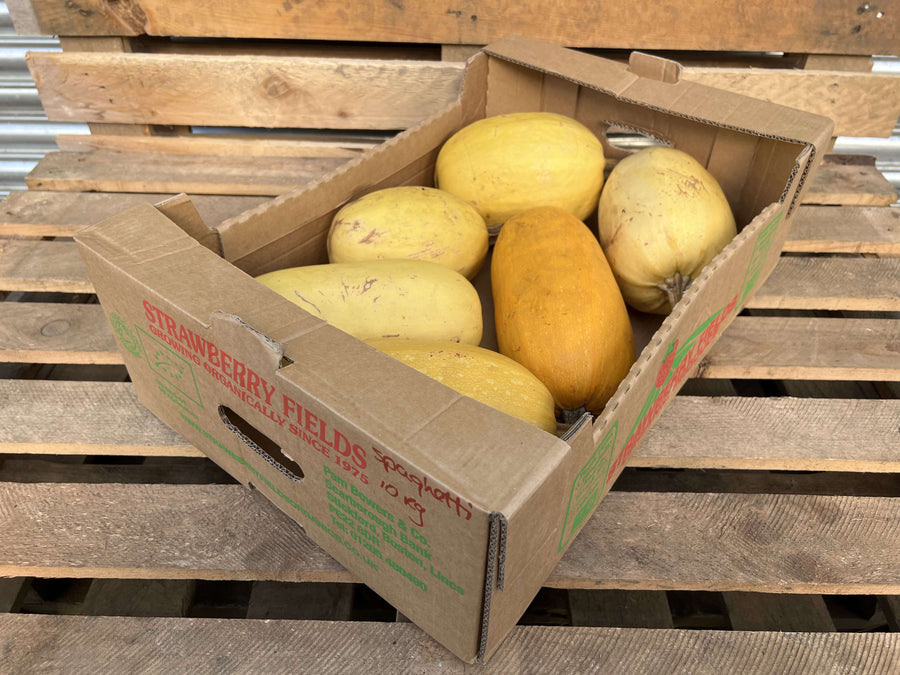 Squash, Spaghetti