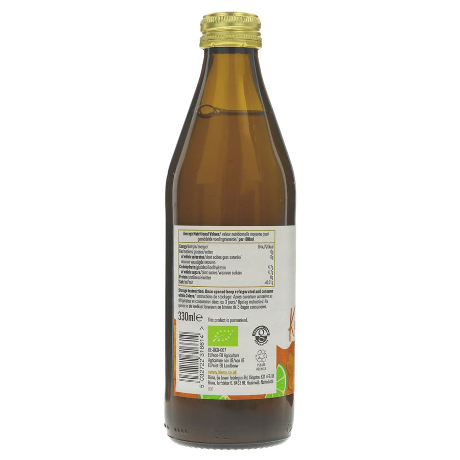 Featured image displaying Biona Organic Kombucha Ginger Lime