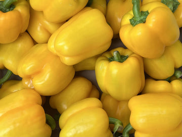 vibrant yellow peppers - organic from Spain!