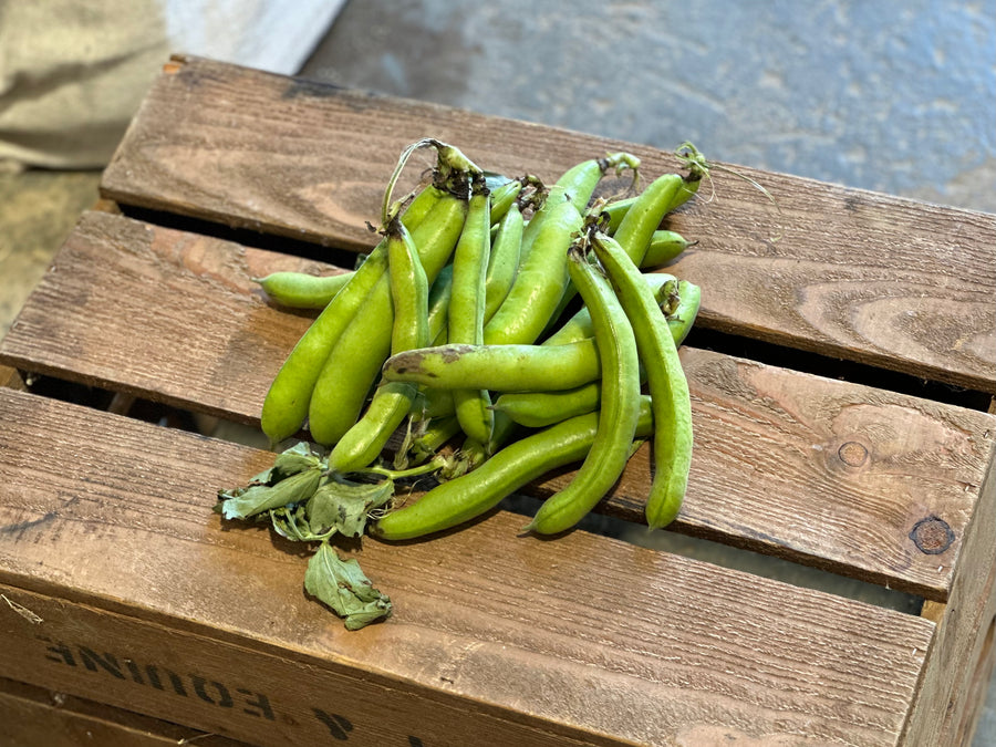 Beans, Broad Beans from Bonnytoun