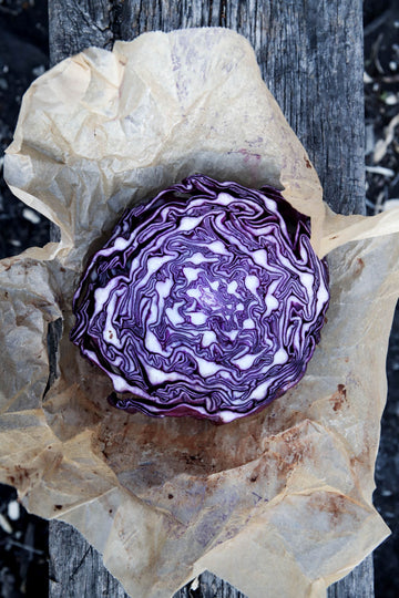Red Cabbage - pre order for Christmas