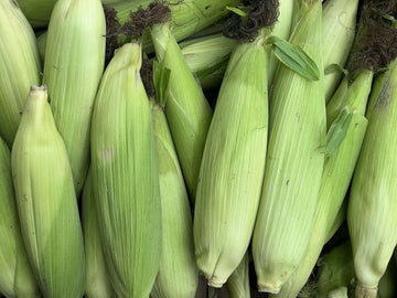 Sweetcorn