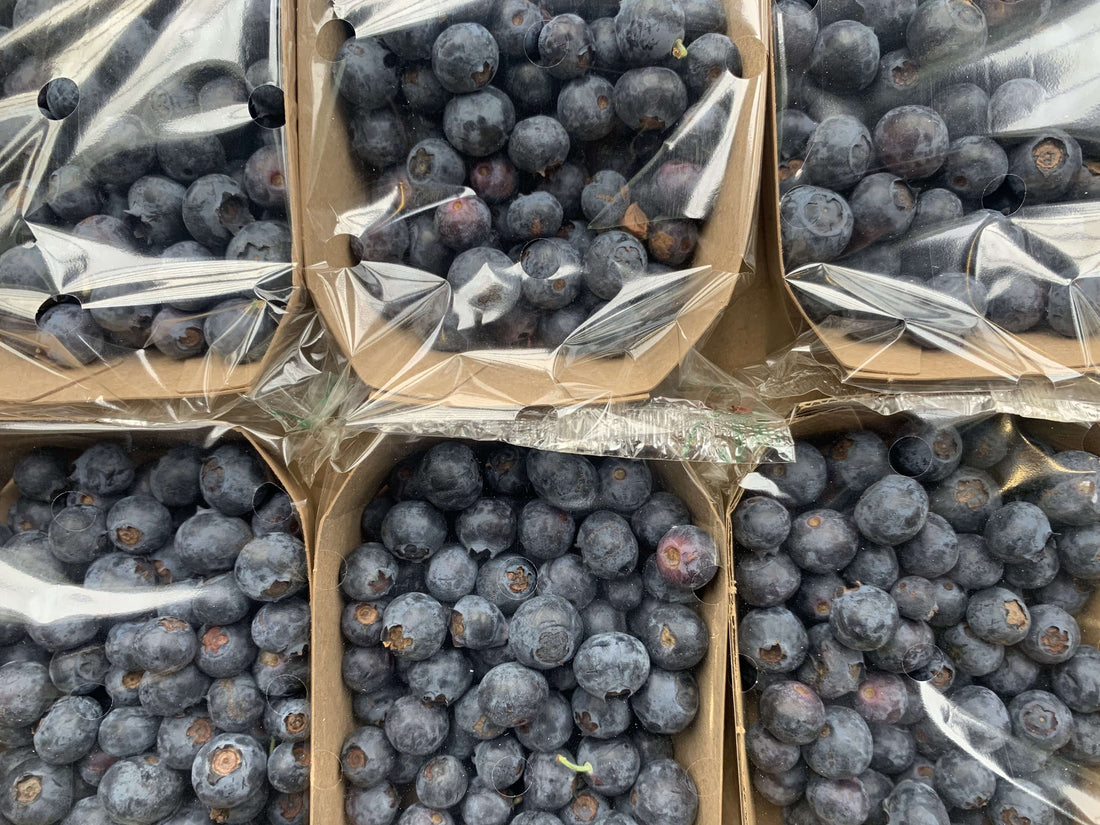 A photo of organic blueberries