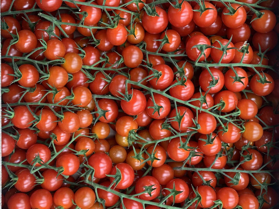 A photo of organic cherry vine tomato