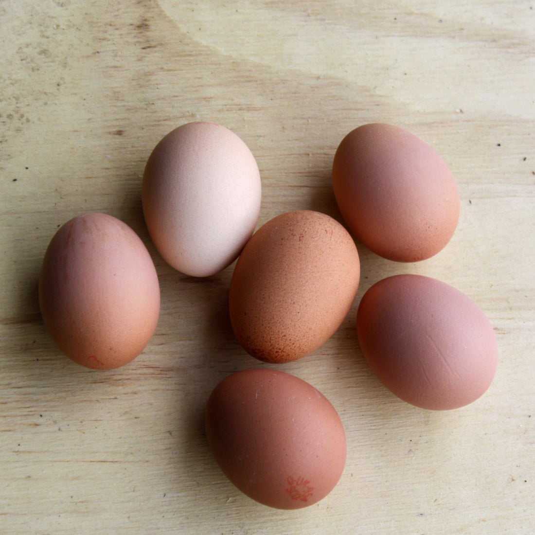 Eggs, Hens