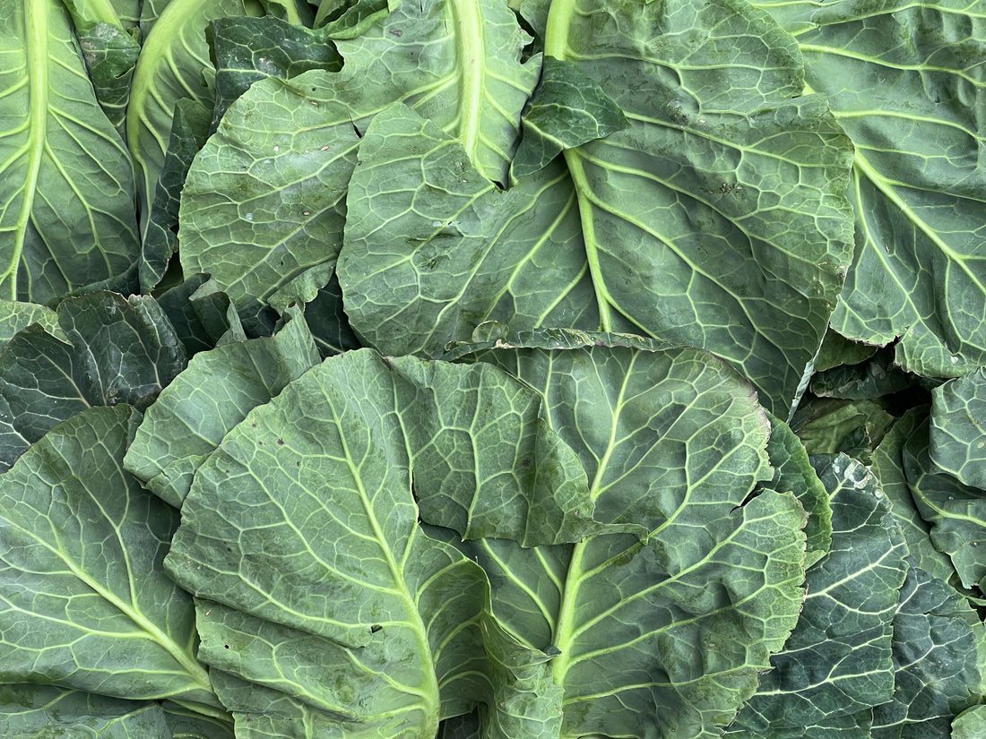 A photo of organic spring greens