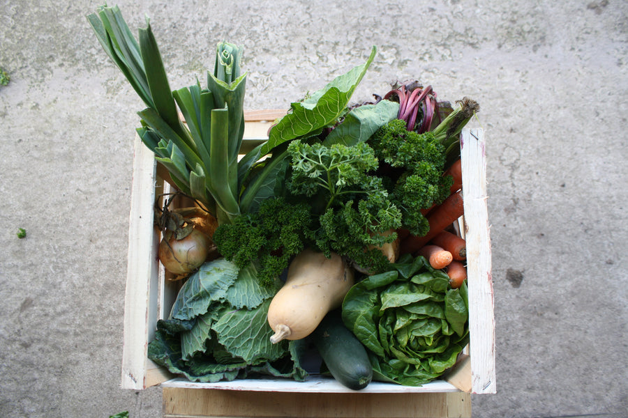 Photos show the Large Veg Only Box. Contains approximately 10-14 types of veg. Suitable for larger households and vegetarians.