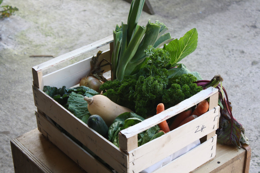 Large Veg only Box