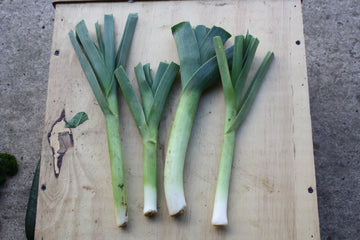 A photo of organic leeks