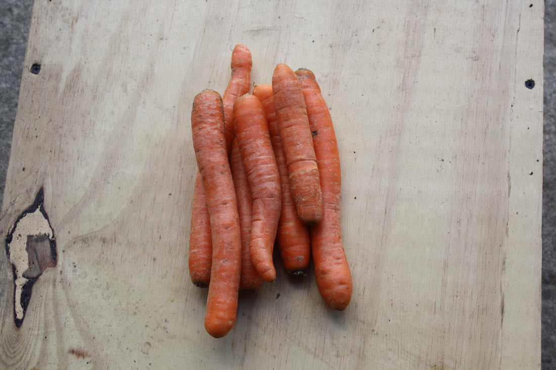 A photo of organic carrots