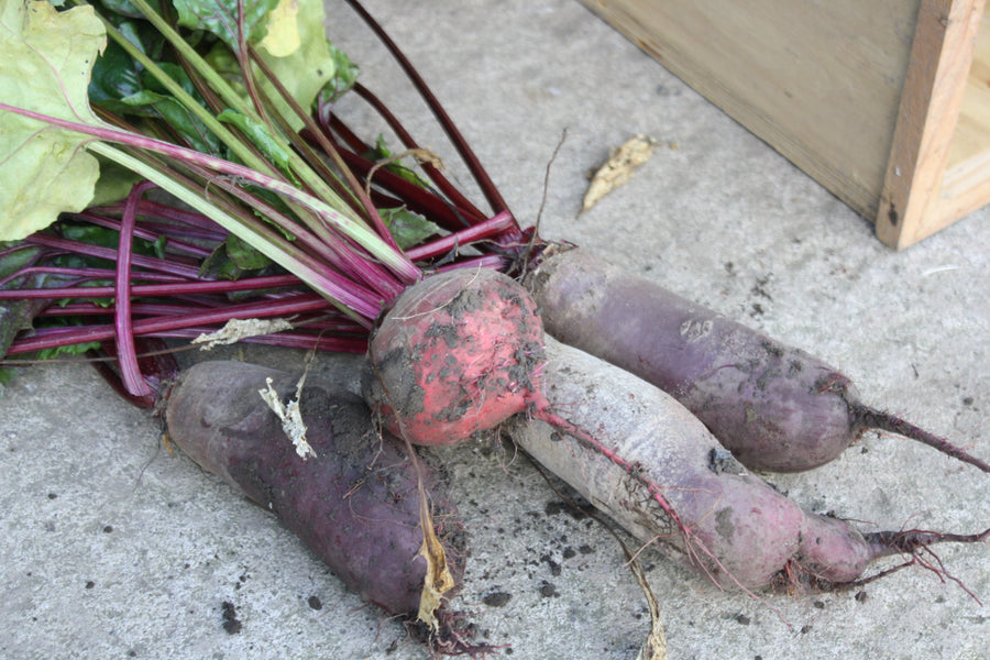 A photo of organic beetroot