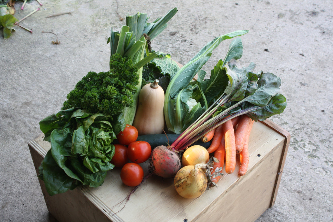 Medium Veg only Box