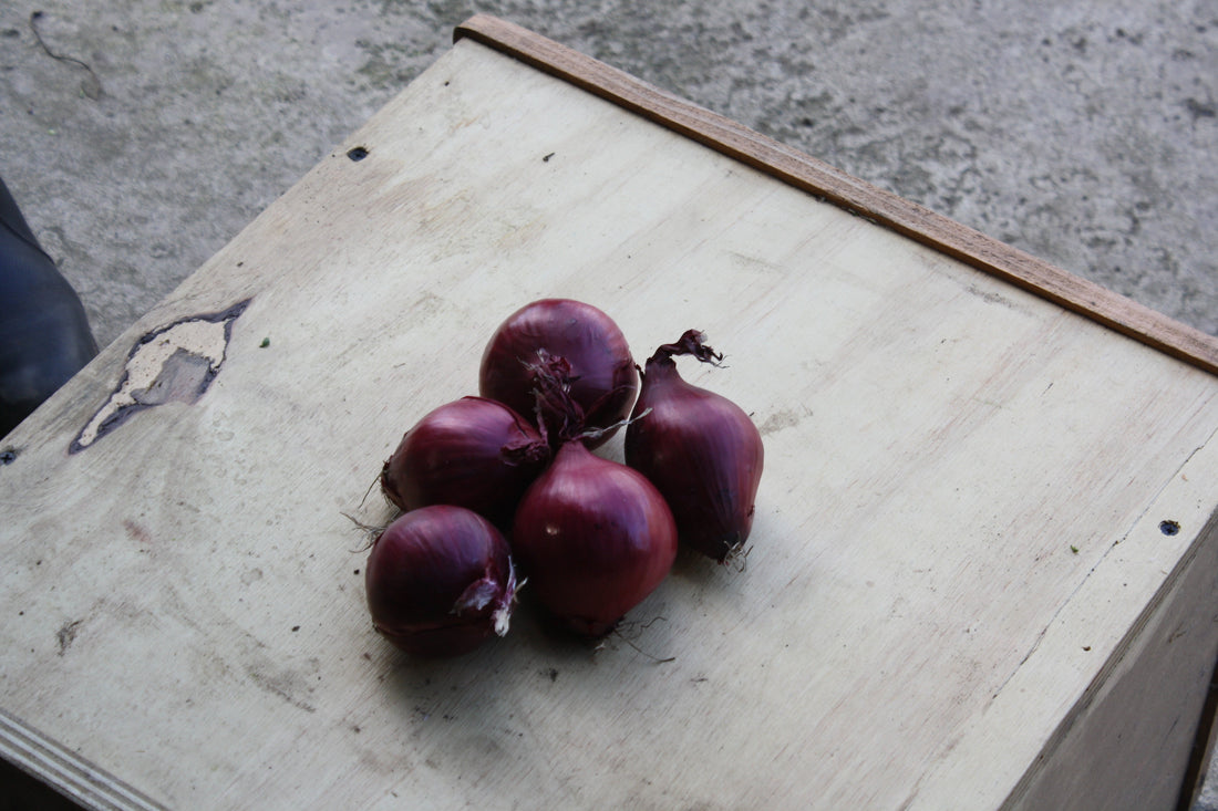 A photo of organic red onions