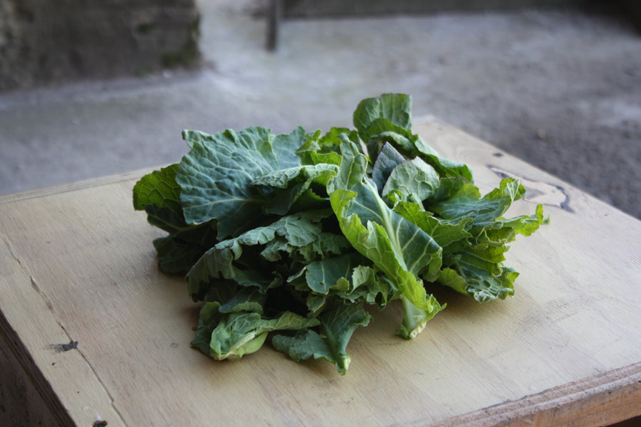 Bag of Greens