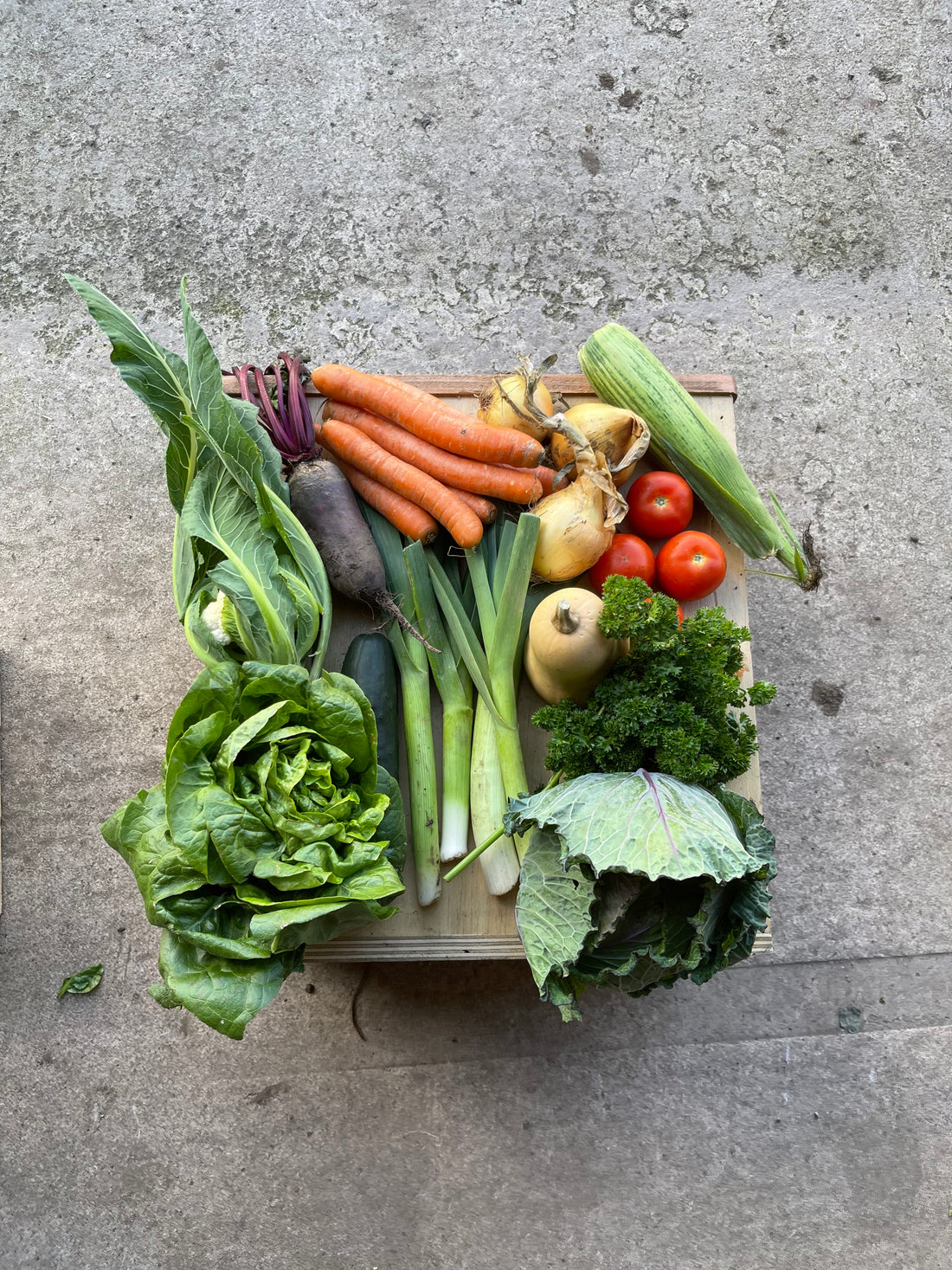 A series of photos showing the medium mixed box, which contains approximately 6-9 types of veg. Suitable for those keen on having great seasonal vegetables.