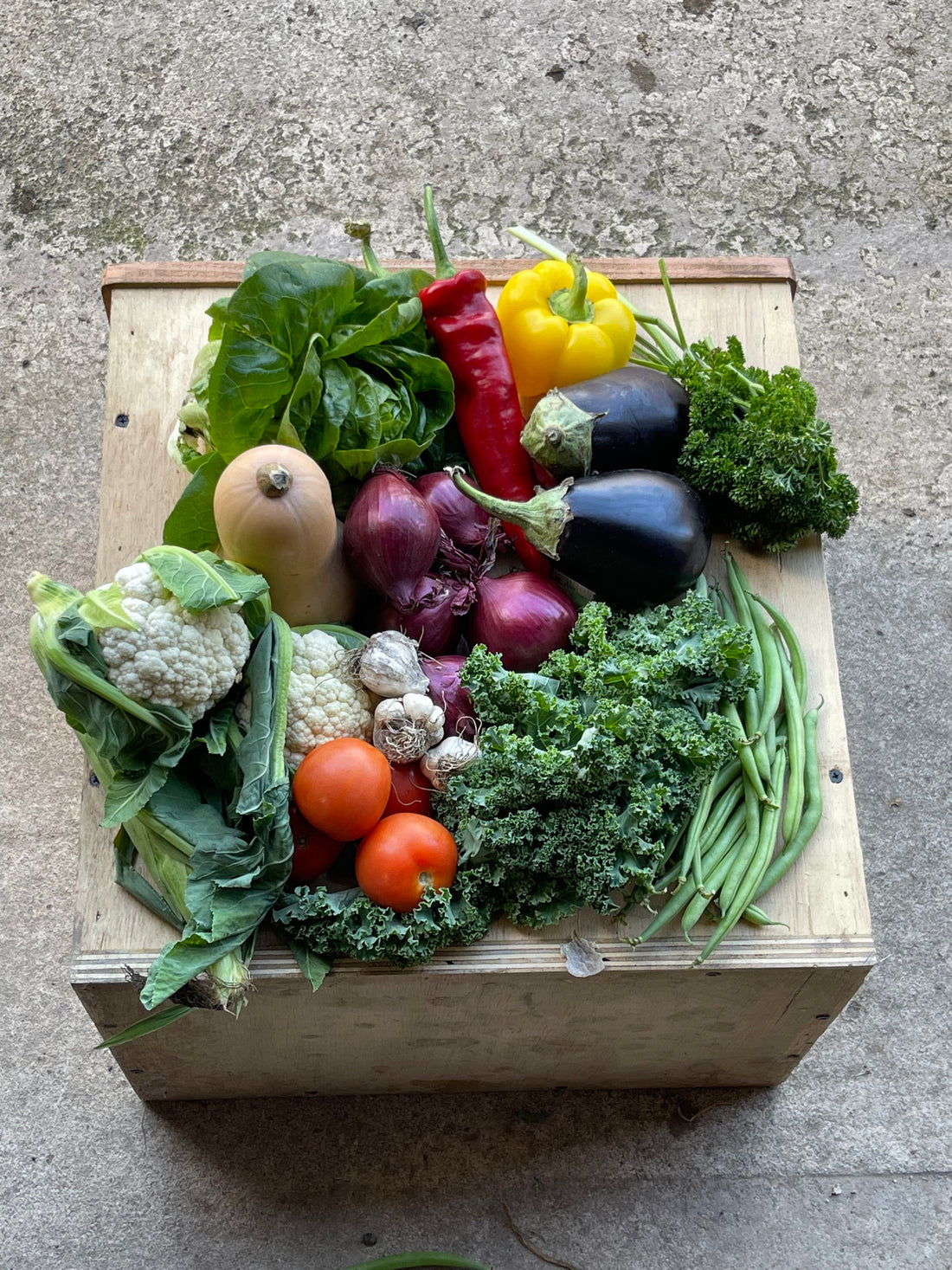 Large Mediterranean Box