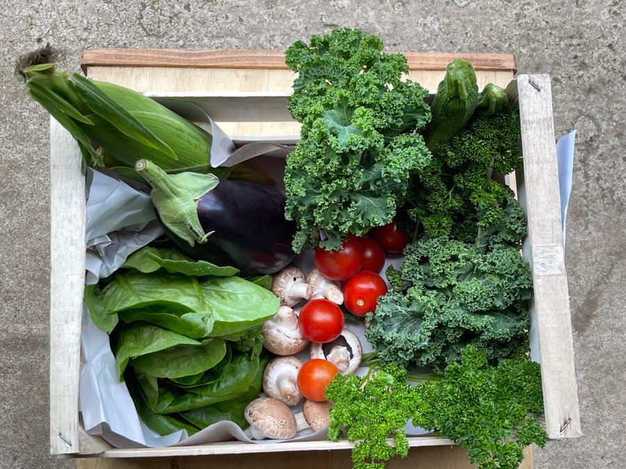 Medium Mediterranean Box