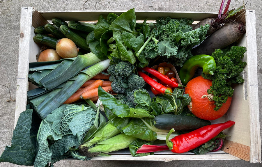 A series of photos which show the Large Family Veg Only Box. Contains approximately 12-16 types of veg. Suitable for larger households and vegetarians. Larger quantities than the large veg only box.