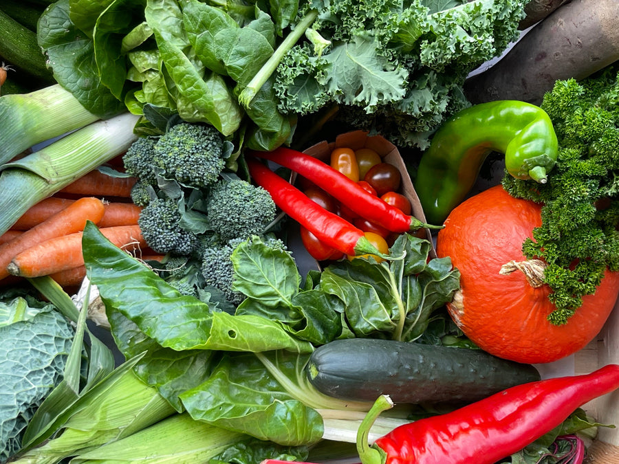 Large Family Veg only Box