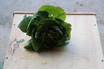 A photo of organic lettuce
