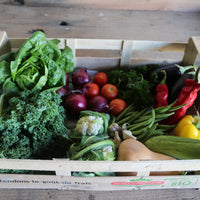 Photos show the Large Mediterranean Box Contains approximately 9-14 types of veg. May include tomatoes, courgettes, aubergine, peppers, garlic….