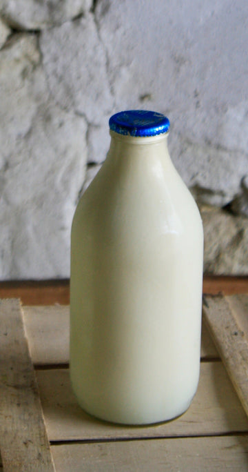 Glass Bottle Whole Milk 1 pint