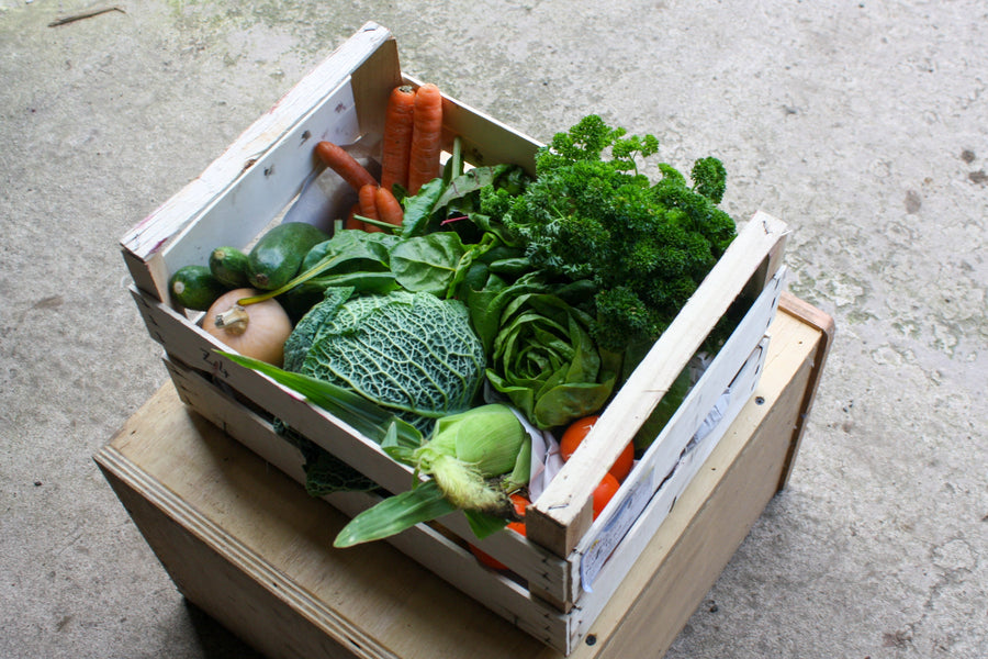 Small Veg Only Box