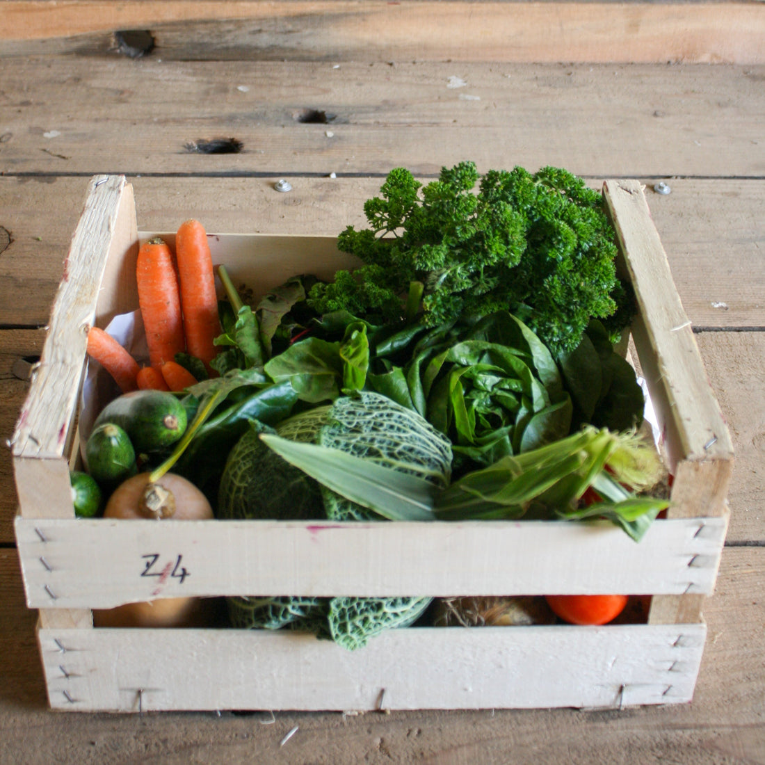 Small Veg Only Box