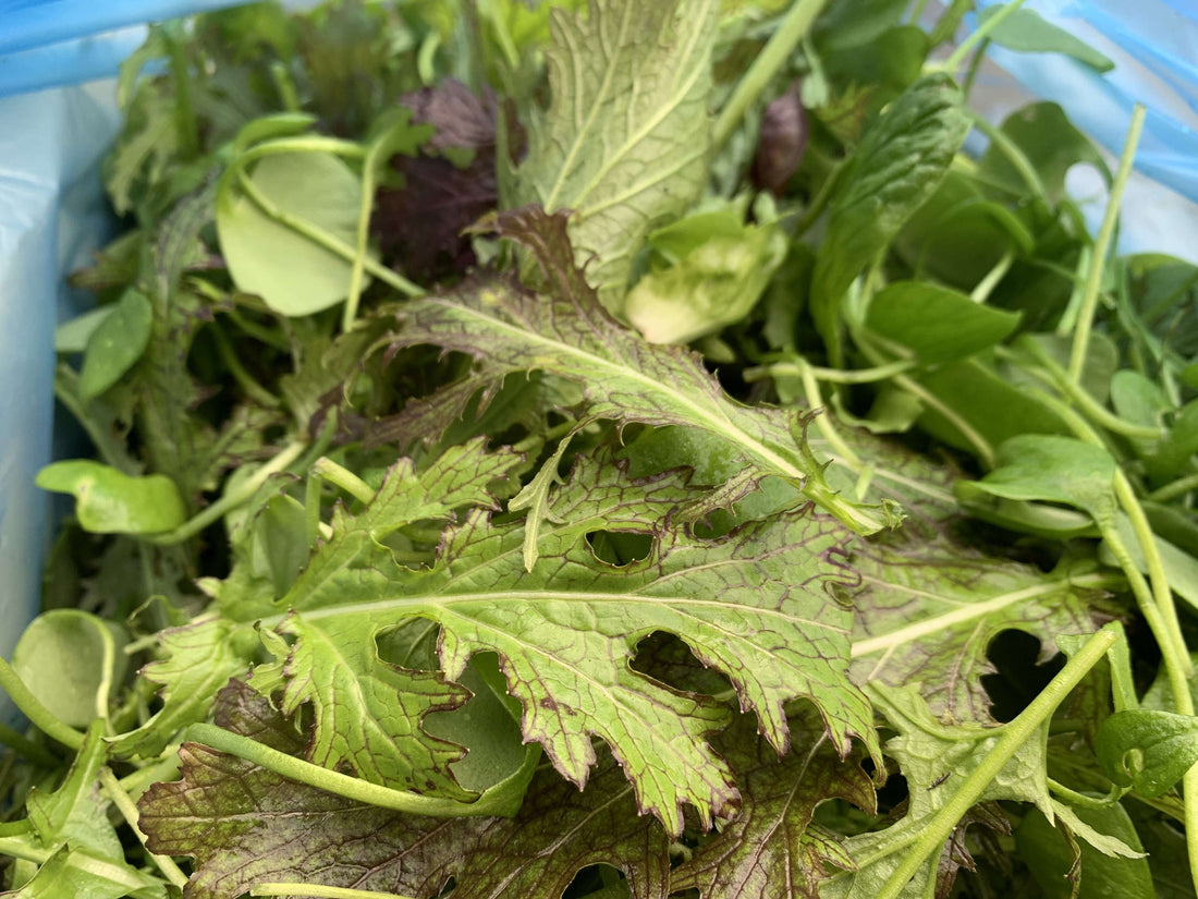 A photo of organic mixed salad leaves
