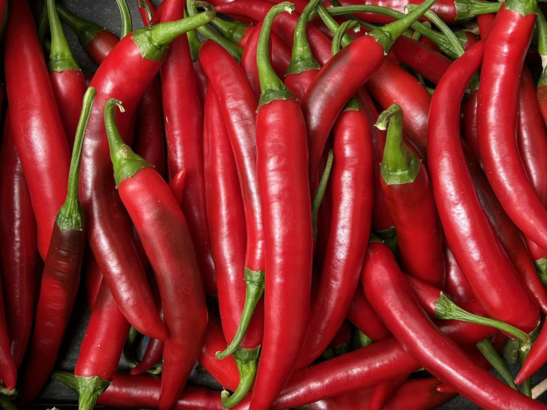 A photo of organic chilli red